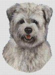 (image for) Glen of Imal Terrier - Blue